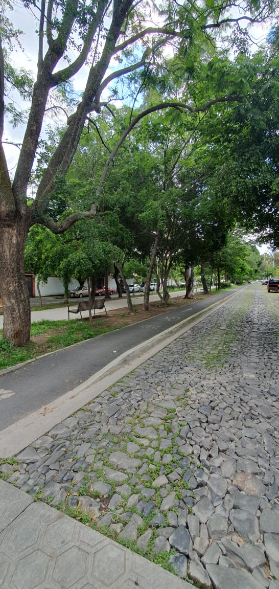 Casa en Venta Seattle, Zapopan - Imagen 54